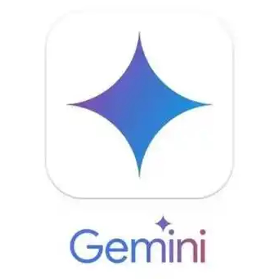 谷歌mini por 1年成品会员